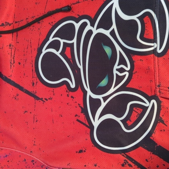Cobra Kai Scorpions Hoodie Red and Black Hoodie Graphic Design Sz L - Picture 3 of 10